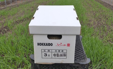 【2026年7月～発送】北海道 富良野市 ふらの赤肉 メロン 3玉 計 約6kg (中島農園) メロン フルーツ 果物 新鮮 甘い 贈り物 ギフト 道産 ジューシー おやつ ふらの ブランド 夏 