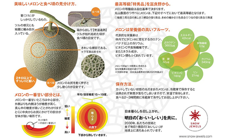 【 2026年6～8月発送】 先行受付 北海道 富良野産 赤肉 つやべに メロン 2玉 箱 4kg以上 大玉 (ふらの 丸山農園) メロン フルーツ 果物 新鮮 甘い 贈り物 ギフト 道産 ジューシー おやつ ふらの ブランド 夏 