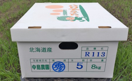 【2026年7月～発送】北海道 富良野市 ふらの赤肉 メロン 4～5玉入り 計 約8kg (中島農園) メロン フルーツ 果物 新鮮 甘い 贈り物 ギフト 道産 ジューシー おやつ ふらの ブランド 夏 