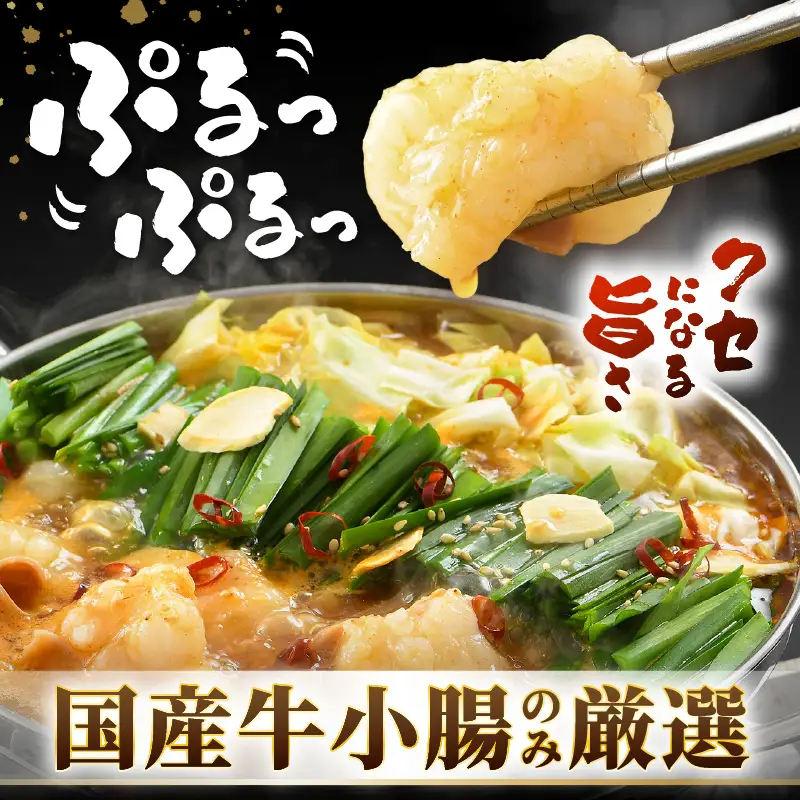 ぷるるんもつ鍋セット（約4～5人前）越前のホルモン屋 国産牛 ／ 価格下げました！ 味噌 牛肉 モツ 小腸 ホルモン 冬 鍋 国産 国産牛 牛ホルモン おつまみ 冷凍 やみつき 人気 アウトドア キャンプ [aw001-a005]
