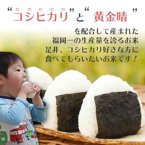 令和7年産　普通精米　久留米産ヒノヒカリ 10kg 〔Gr025〕