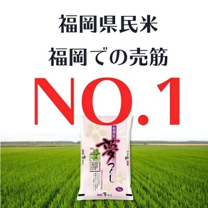 令和7年産　普通精米　福岡県産夢つくし 10kg 〔Gr030〕