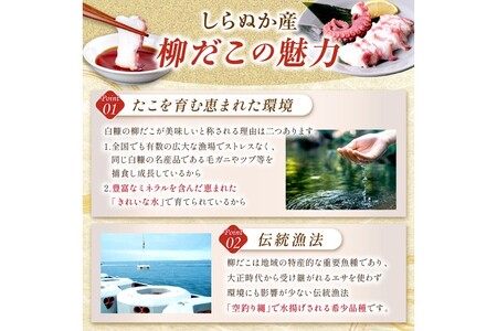 しらぬか産刺身用柳だこ【600g×2個】_I016-0136