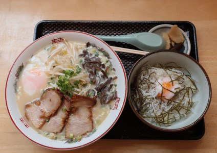  鹿児島 ラーメン 西郷 ラーメン 2種7袋 しょうゆ ･ とんこつ 丸一製麺 IB109-001
