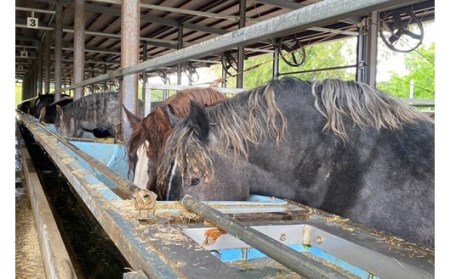 【国産】豪華特選馬刺し 銀桜 6種盛り 馬刺し 800g 霜降り 上赤身 オビ ヒモ タテガミ フタエゴ 専用醤油 馬 馬肉 生食用 肉刺し 詰め合わせ 盛り合せ ギフト 贈答用 お中元 お歳暮 熊本 JSファーム 阿蘇 南小国 南小国町 送料無料
