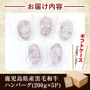 ハンバーグ ハンバーグセット 小分け 黒毛和牛 200g×5パック 【AKR Food Company】 a750