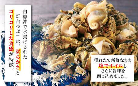 ＼高評価 4.8 ＆ 高リピート率／ 白糠煮つぶ とれたてくん 500g × 2 個_I012-0138-90DAYS