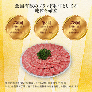 飛騨牛 岐阜県海津市産 すき焼き 切り落とし 500g 牛肉 すきやき お肉 冷凍 