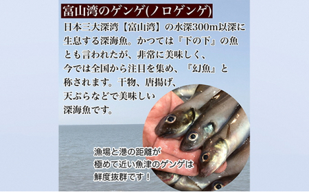 【富山湾深海魚】サク旨　ゲンゲの上干し×5袋（ゲンゲの干物） ハマオカ海の幸 ※北海道、沖縄、離島配送不可