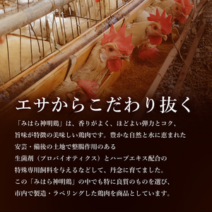 【テレビで話題！】「みはら神明鶏」モモ肉3kg(250g×12パック) 広島県産 鳥徳 神明鶏 鶏肉 とりもも 鶏もも肉 唐揚げ 鳥すき チキン グリル モモ 低カロリー 高たんぱく 012011