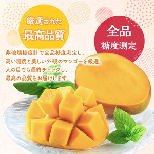 【数量限定】鹿児島 与論島アップルマンゴー特A秀品大玉２個約１キロ 化粧箱入り【先行予約】| マンゴー