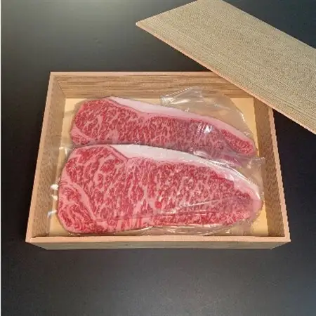 【博多和牛】サーロインステーキ500g(250g×2枚)_肉 ステーキ 牛肉 ビーフステーキ  肉 和牛 牛肉 _【配送不可地域：離島】【1259479】