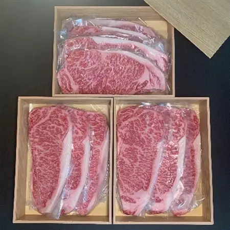【博多和牛】サーロインステーキ2500g(250g×10枚)_肉 ステーキ 牛肉 ビーフステーキ  肉 和牛 牛肉 _【配送不可地域：離島】【1259483】