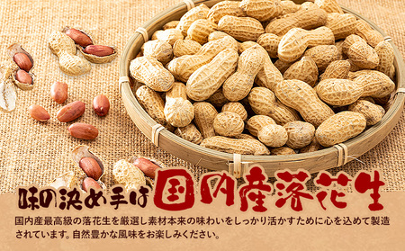 【水川商店謹製】ピーナツ豆菓子 4種 セット 大柿 ココア チーズ 味付き 株式会社TMO結城《30日以内に出荷予定(土日祝除く)》 茨城県 結城市 おつまみ つまみ 柿ピー おやつ 詰合せ 豆類