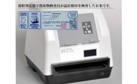 【令和7年産】西尾のお米【翔米】10kg(あいちのかおり)・K220-29