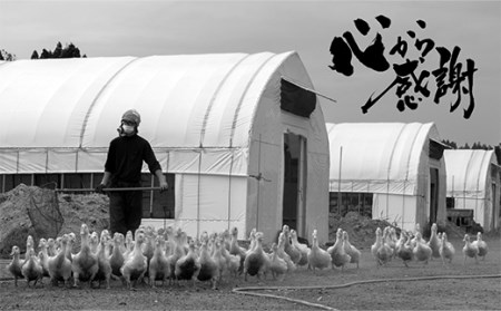 『満天☆青空レストランでご紹介!』極上の鴨を手軽に楽しむ 最上鴨切り出し肉 約1kg 鴨肉 山形県 新庄市 F3S-1409