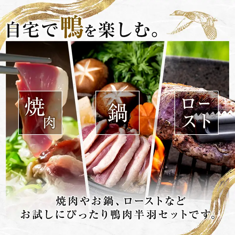 『満天☆青空レストランでご紹介!』もがみの地で育った最上級の鴨 最上鴨 半羽 約500g(むね・もも 各1枚) 鴨肉 山形県 新庄市 F3S-1411
