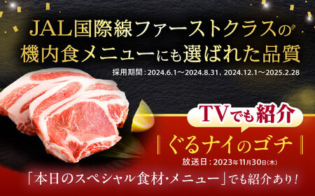 【お中元対応可】黒豚諫美豚プレミアム100 5種詰め合わせ 1.2kg / 豚肉 ぶたにく ロースステーキ しゃぶしゃぶ 切り落とし ミンチ / 諫早市 / 株式会社土井農場 [AHAD047]
