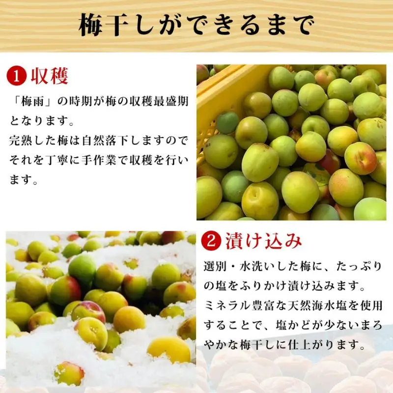 はちみつ梅 梅干し 紀州南高梅 大粒 みつ大玉 800g（塩分8％） 高級　mryms001A【mryms001A】