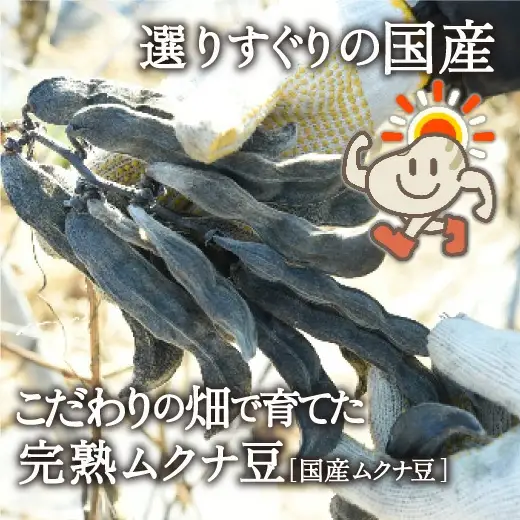 八升豆[国産ムクナ豆]粉末 300g×１袋【老舗生薬屋の八升豆】 hoso013A【hoso013A】