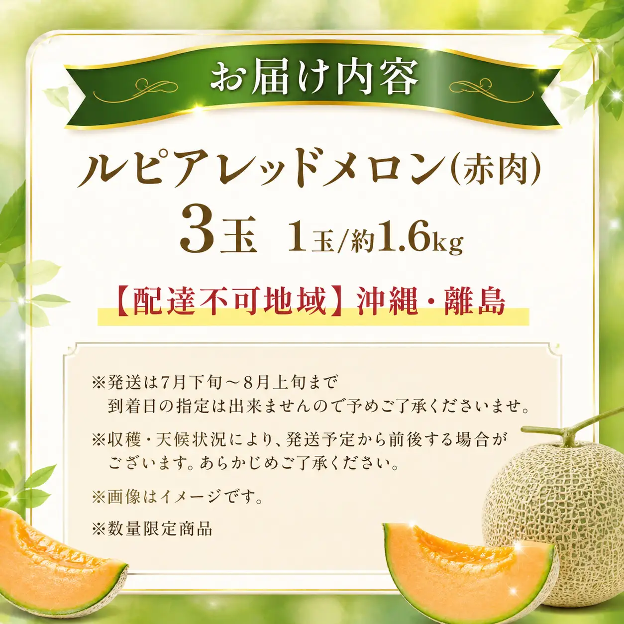 【2026年発送】【先行予約】【数量限定】美唄市産ルピアレッドメロン３玉（赤肉） ｜ メロン