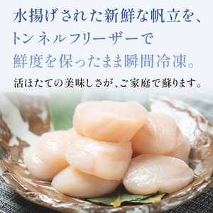 北海道産冷凍ホタテ貝柱大（500g×2パック）「1kg」 ＜ワイエスフーズ＞ 小分け チャック付き 海鮮丼 森町 魚貝類 帆立 ホタテ ほたて 魚介類 貝 ふるさと納税 北海道 訳あり mr1-1282