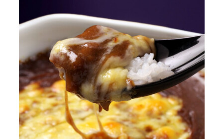 有田焼カレー【 レトルトカレー 】セット F35-26