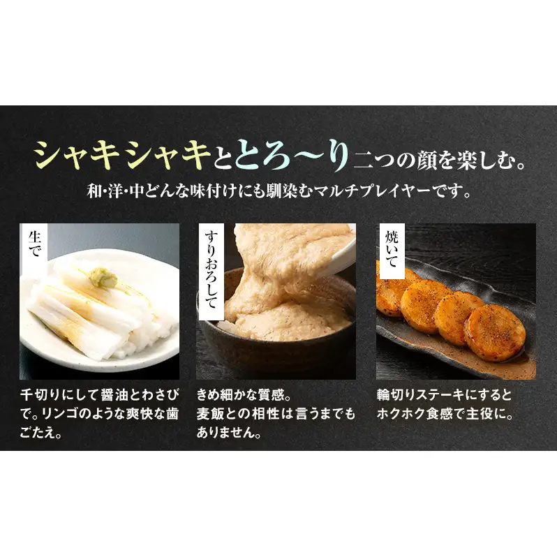 2026年12月発送 先行予約 十勝「忠類長いも」10kg (10～16本) L～2L［JA忠類］【 長芋 ながいも 山芋 芋 とろろ 野菜 根菜 産地直送 贈答 ギフト北海道 幕別 】