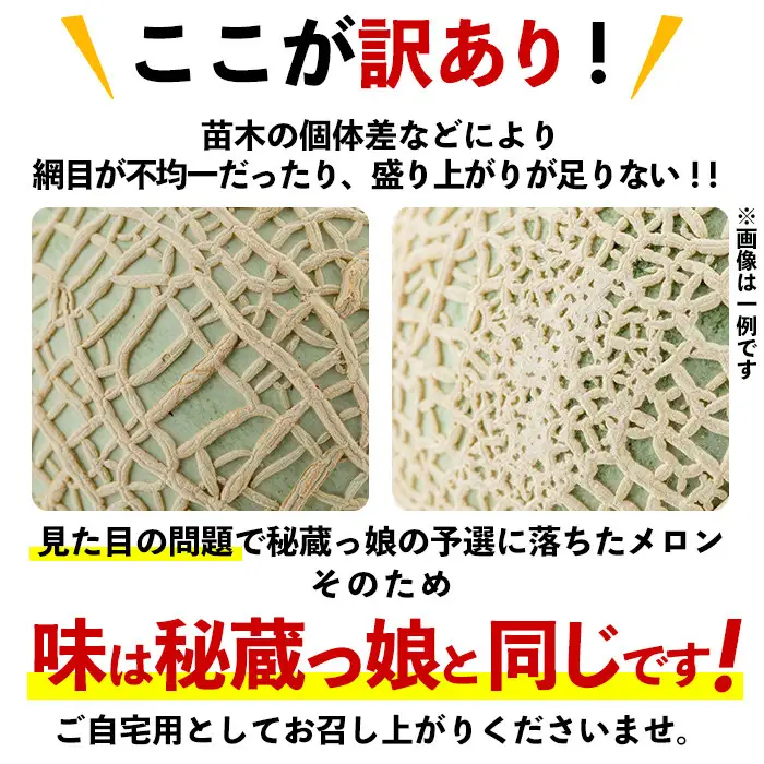 【訳あり・数量限定】牧さんの訳ありメロン 赤玉(赤肉)計2玉 メロン マスクメロン 果物 くだもの デザート 赤肉 訳あり b0-105
