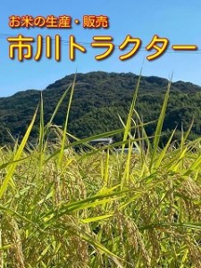 【令和7年産】＜万燈米＞【あいちのかおり 4.5kg×2袋】・I028-20