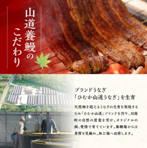 【名店の味！宮崎県産鰻】 ひむか山道うなぎ蒲焼２尾分（260ｇ以上）【 鰻 うなぎ 国産 蒲焼き 】
