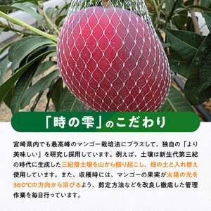 【令和8年発送】宮崎県産完熟マンゴー「時の雫」2L×1玉 果物 マンゴー