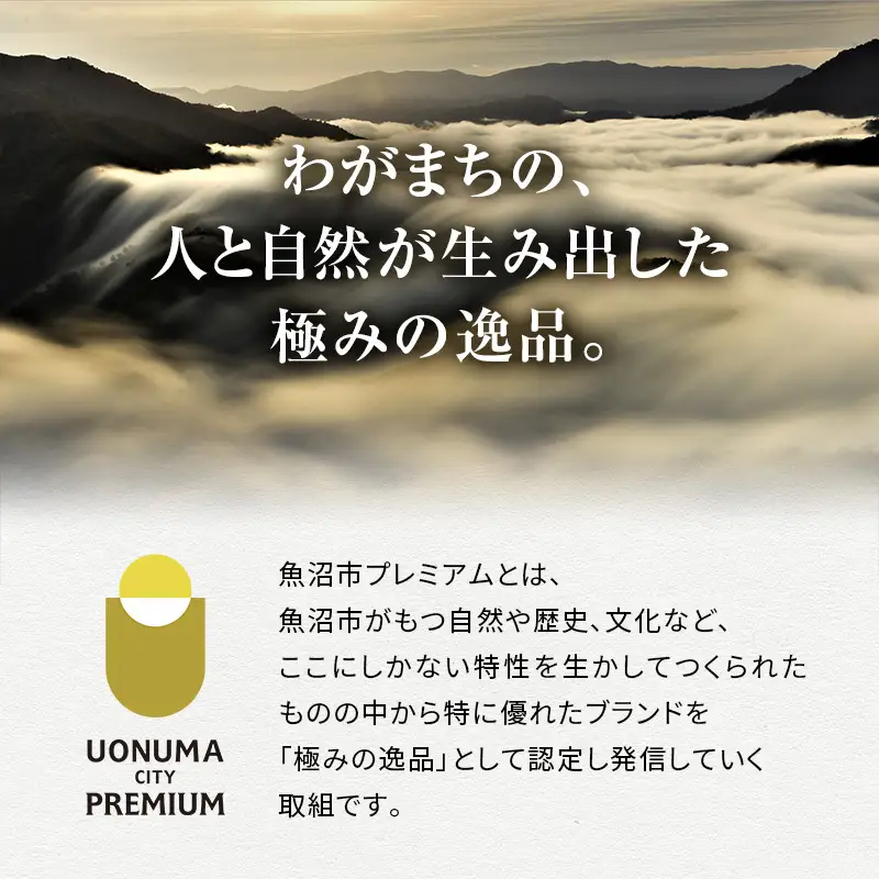 魚沼産コシヒカリ使用 糀みつ 200g 加工食品 発酵甘味料 はちみつ 砂糖 みりん 米 