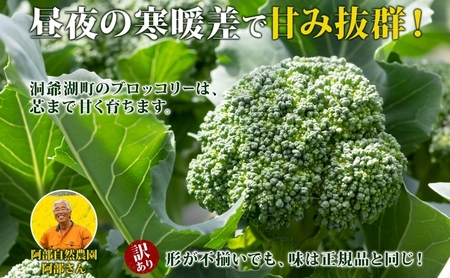 北海道 洞爺湖町産 訳あり ブロッコリー 400g×2袋 訳アリ 不揃い 規格外 冷凍 野菜 カット野菜 北海道産 国産 カレー シチュー お弁当 阿部自然農園 送料無料 洞爺湖町