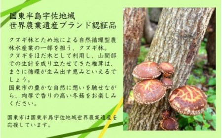 乾し椎茸 冬菇180g（国東半島宇佐地域世界農業遺産ブランド認証品） / 椎茸 しいたけ シイタケ 乾物 国産_1886R