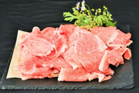 仙台牛 A5 サーロイン ステーキ 200g×2枚 & 切り落とし 200g [からくわ精肉店 宮城県 気仙沼市 20563357]