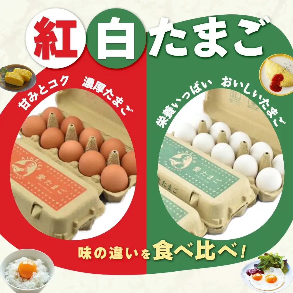 愛鶏園　紅白たまご60個　【11218-0037】