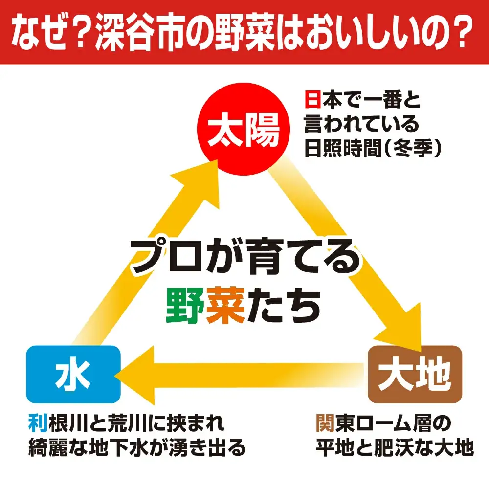 ＜10回定期便＞旬のラッキー7野菜セット（野菜7種詰合せ）　【11218-0135】