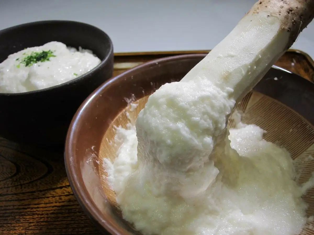 土付き大和芋AA品4kg（10～12本）　【11218-0138】