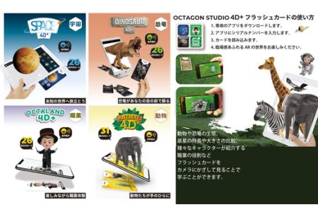 octagon studio 4D+フラッシュカード　4種アソートパッケージ　【11218-0181】