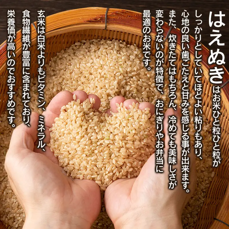 数量限定 【令和7年産】 山形県庄内産 小池半左衛門のお米 はえぬき 玄米 10kg (5kg×2袋)
