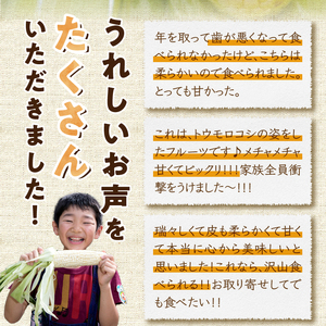 【先行予約】白いとうもろこし 奥州ペルル ( ホワイトショコラ ) 10本【数量限定】2026年7月中旬から出荷 離島配送不可 [T0012]