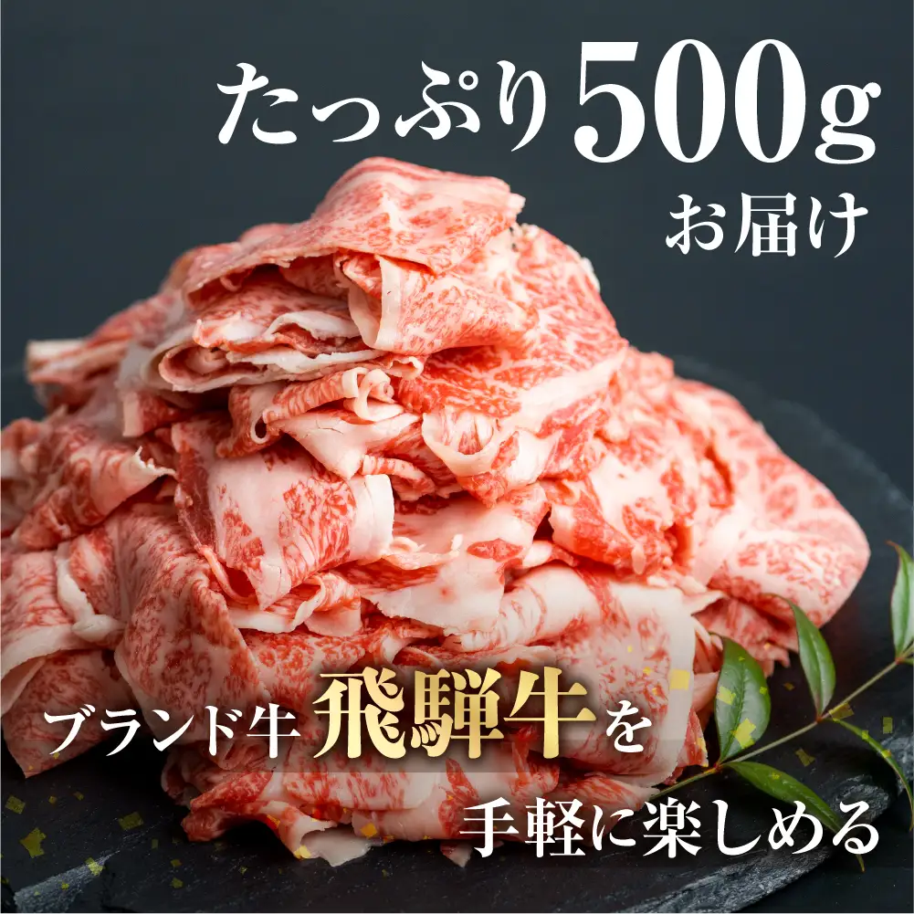 飛騨牛 切り落とし 500g 牛肉切り落とし