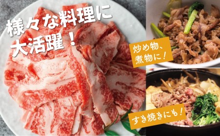飛騨牛 切り落としスライス 1kg 250g×4 牛肉 切り落とし 飛騨市 [Q1024x]
