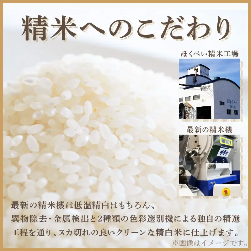 《7営業日以内に発送》令和7年産 ななつぼし 10kg 北海道産 極 精白米 最高ランク 特A ( お米 米 精米 5キロ 10キロ 北海道産 精白米 )【080-0084】