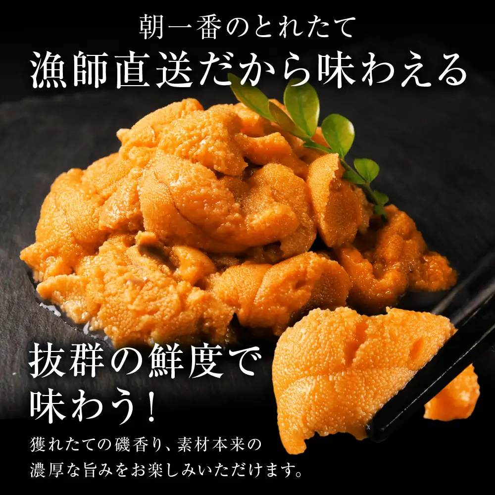 【2026年発送予約】塩水エゾバフンウニ 100g×2P ＆ 昆布まみれソース 180ml×2本 昆布屋神兵衛