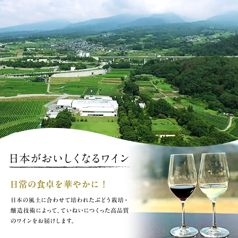 ワイン 信州ワイン 赤 ソラリス 千曲川 メルロー 赤ワイン マンズワイン 酒 お酒 洋酒 果実酒 ぶどう酒 長野 長野県小諸市 