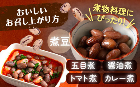 北海道 あしょろの中長うずら豆 1kg×2袋《足寄町》【党崎農場】[BEAA022]