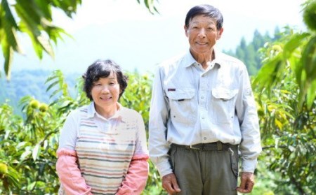 【美郷栗を使用！】 栗の渋皮煮 200g 6p セット 計1.2kg [春夏秋冬いっつもや 宮崎県 美郷町 31ab0080]