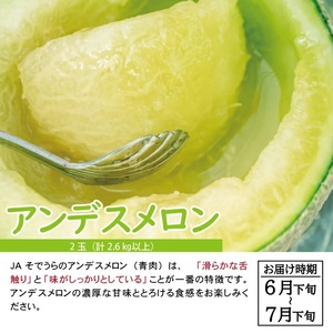 SC0627　【3回定期便】自然の恵みフルーツ定期便2026(2) (いちご、アンデスメロン、柿)